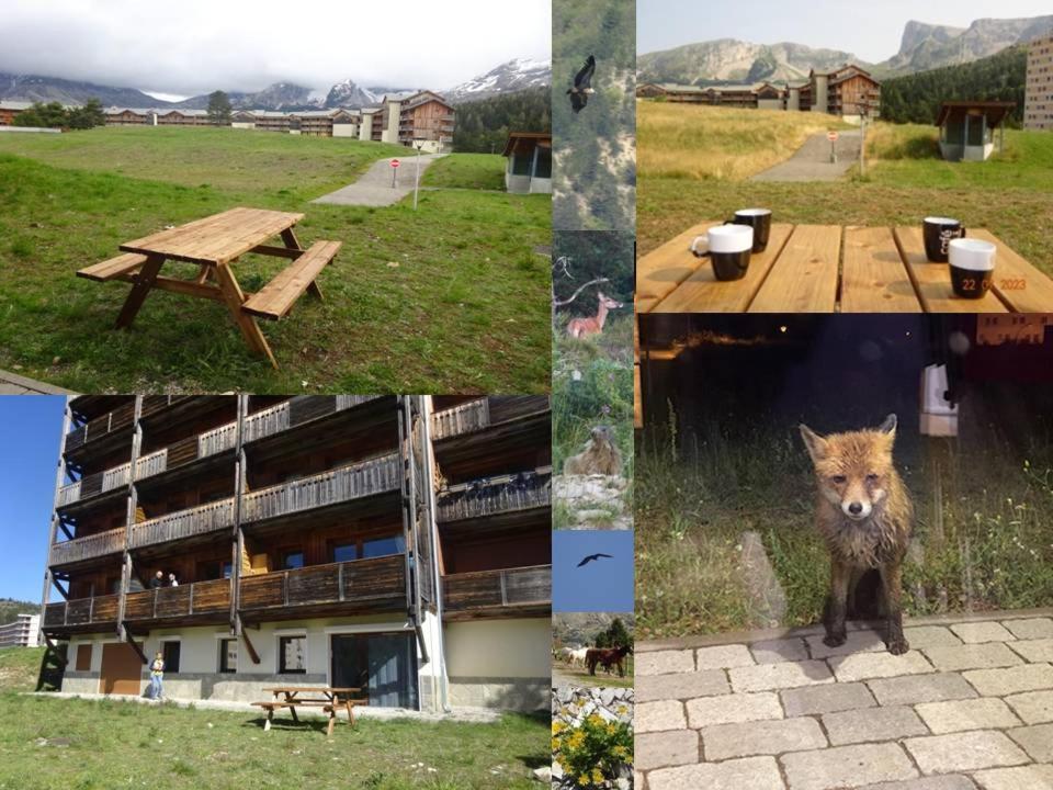 Appartement 8-10 Personnes Superdevoluy Hautes Alpes Rez De Chaussee Vue Panoramique 3 Chambres Saint-Étienne-en-Dévoluy Dış mekan fotoğraf